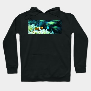 Clownfish Hoodie